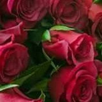 anastasdemi's profile picture. 