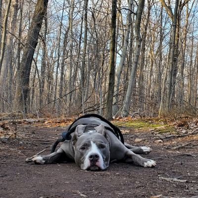 phishykid's profile picture. phish