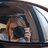 Edithlevy21's profile image