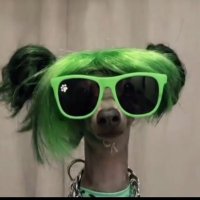 Joana098 (@carlosiego3) 's Twitter Profile