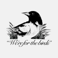 baird (@pinchebaird) 's Twitter Profile
