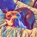 Laura Winn (@misslaurasbook1) Twitter profile photo Laura Winn (@misslaurasbook1) Twitter profile photo