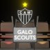 Galo Scouts (@GaloScouts) Twitter profile photo