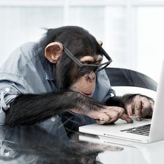 KodeMunkey's profile picture. Cryptos, Code, Rock and Roll