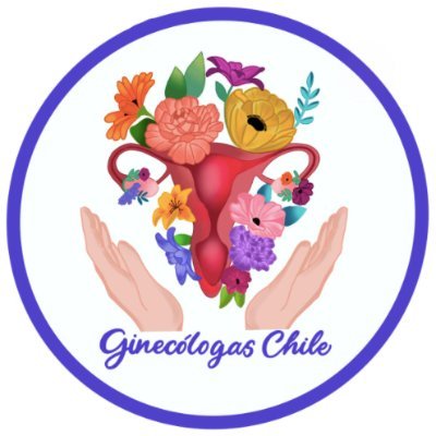 Agrupación de ginecólogas que trabajamos por la promoción del enfoque de género en el estudio y el ejercicio de la Obstetricia y Ginecología.