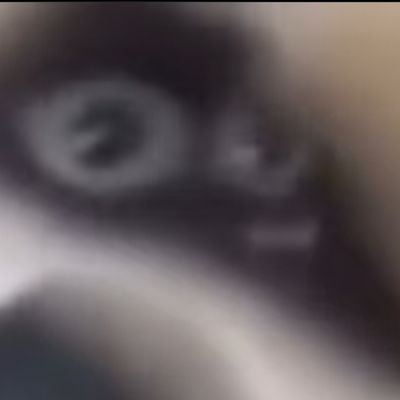 Profile Picture of Cody Nutter (@cody_nutter) on Twitter