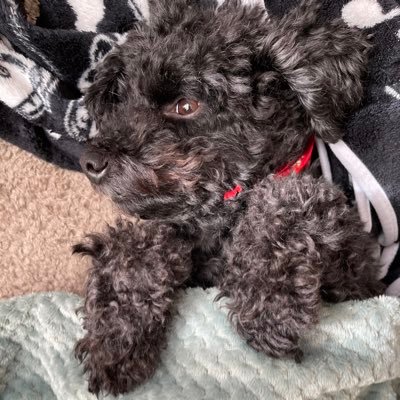 ZgPQeH5pnggQBB6's profile picture. 社会人3年目
サッカー歴18年⚽️
一児のパパ👨です