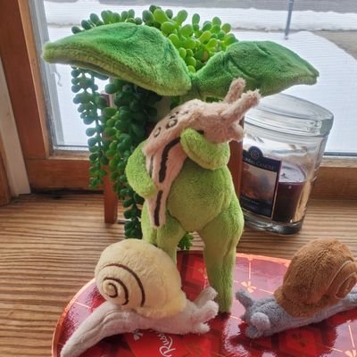 the official twitter for Little Sproutling Nursery art dolls and shop.
🐝 🐌🪲https://t.co/QlpaogcSmE 🌱🍄🌿☘