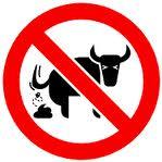 GuttaLifeRaw's profile picture. 