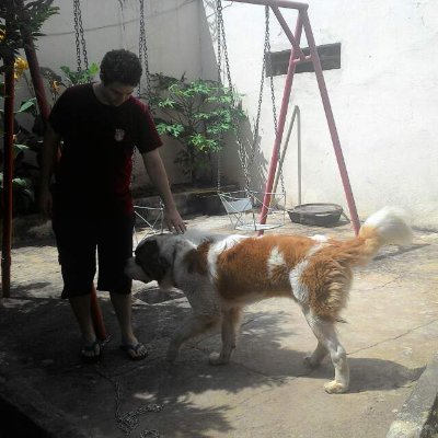 MTerraw's profile picture. 