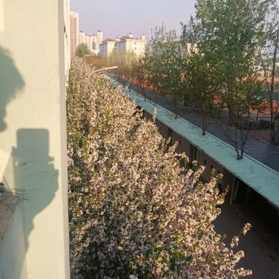 GBHtbbgenkKKRTC's profile picture. 