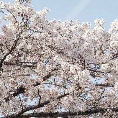 競技委員長南部です。
愛知県ソフトバレーボール連盟会員の皆様への情報発信を目的に掲載します。
ソフトバレーボール愛好者の皆様にはソフトバレーボールを知っていただいて、各地域の体育館でソフトバレーボールを経験してください。