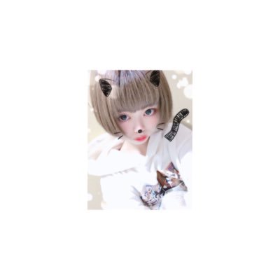 HTML/CSS/AdobeXD/Illustrator/Photoshop👩🏼💻WordPress/PHP/Laravel/JavaScript📖५✍⋆* 無言フォロー失礼します