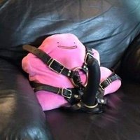 cyber chaser (@texmaxchaser) 's Twitter Profile