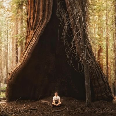 Raguvarans1988's profile picture. தீண்டாமை ஒழிய வேண்டுமென்றால்,சாதி  ஒழிய வேண்டும்.சாதி ஒழிய வேண்டுமென்றால்,சமத்துவம் மலர வேண்டும்.சமத்துவம் மலர வேண்டுமென்றால்,மனிதம் பிறக்க வேண்டும்...