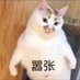 刻在我心的名字 (@marchpromise019) Twitter profile photo 刻在我心的名字 (@marchpromise019) Twitter profile photo