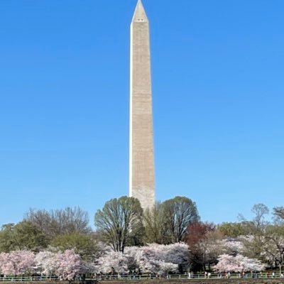 LDav000's profile picture. 