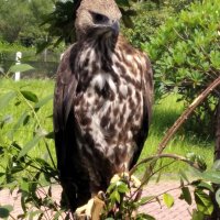 @min_afkar08 (@9b7f76f13f7e49c) 's Twitter Profile