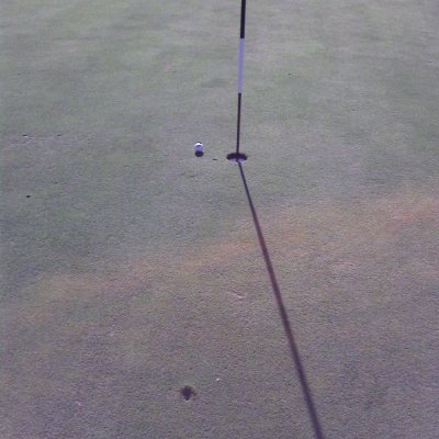 frankhowen's profile picture. English, Consultant, Football, Golf - a Claret & B