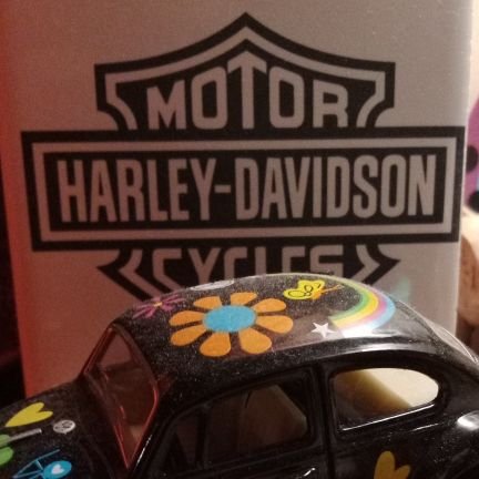 LeslieP45447471's profile picture. listening is my best trait, ignoring insignificant simps is a must, but pretending to be what the group I am in at the moment thinks I am is priceless to me.