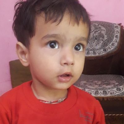 AdityaR02431026's profile picture. 