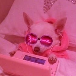 laaurareidd's profile picture. 