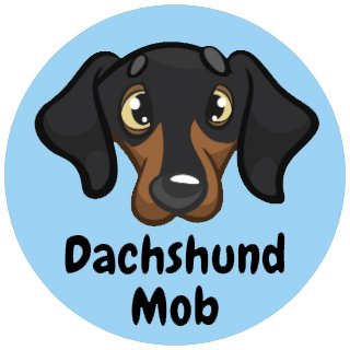 🎓 Learn a lesson from your #Dachshund; No matter what life brings you, kick some grass over that shit and move on 🐕
Follow us for #CuteDachshund Contents 💖