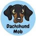 Dachshund Mob 🐶 🐾 (@Dachshund_mob) Twitter profile photo