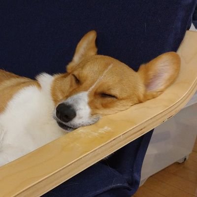 mizunaruky's profile picture. 日常や趣味の話、家のコーギーさんの画像の他にネタに走ったり地震に怯えたりなど。割と腐属性、本体と魂が眼鏡、馬券が買える年齢ですが見る専、ヘッダーは心の叫び。