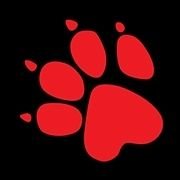 Fanpage Twitter che riporta in tempo reale tutte le novità e punti di vista riguardante il mondo dei Naughty Dog🐾