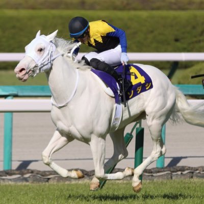 YUKI18723's profile picture. 2015天皇賞春のゴールドシップに魅せられて、競馬にハマりました😊 ゴールドシップ👑ドゥラメンテ、サトノダイヤモンド、マカヒキ、ラッキーライラック、ソダシ、ユーバーレーベン、マイネルラウレア❤🐎ゴルシ産駒、シラユキヒメ一族＋白毛応援✨✨ホームは阪神競馬場 （リプ返せないこともありますのでご了承ください）✨