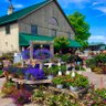 ShadyBrookFarm's profile picture. 100+ yr old family farm! Pick your own fruit & veggies + seasonal festivals! Farm Market filled w gourmet food & goodies, ice cream & a Pub. Garden center too!