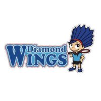 三菱電機ダイヤモンドウイングス (@d_itami_sports) 's Twitter Profile Photo 三菱電機ダイヤモンドウイングス (@d_itami_sports) 's Twitter Profile Photo