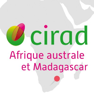 Le Cirad en Afrique australe et à Madagascar