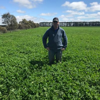 NeilHam9's profile picture. Breeding prime lambs and cropping         living the dream