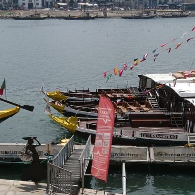 progr__'s profile picture. Cool n calm, evolving, learning to set boundaries, doing good....