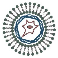 BioSoft@TAU (@biosofttau) 's Twitter Profile Photo BioSoft@TAU (@biosofttau) 's Twitter Profile Photo