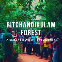 Pitchandikulam Forest, Auroville(@pitchandikulam) 's Twitter Profile Photo