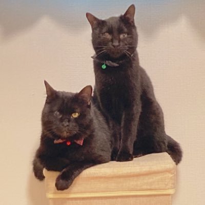 りんすさんのプロフィール画像
