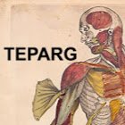 Trans-European Pedagogic Anatomy Research Group(@TEPARG) 's Twitter Profile Photo