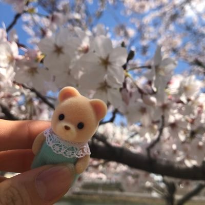 みずずずずさんのプロフィール画像