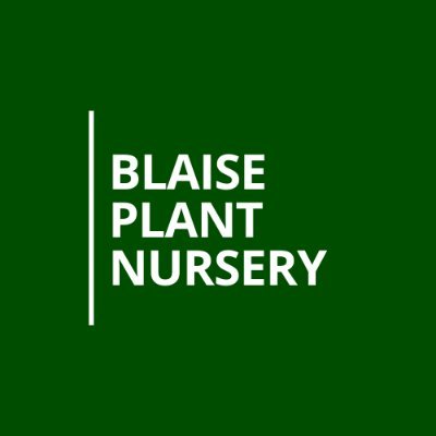 Blaise Plant Nursery