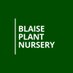 Blaise Plant Nursery (@blaise_plants) Twitter profile photo
