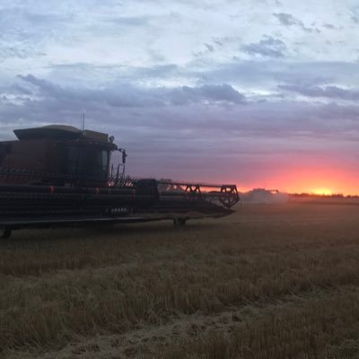 LachyFoott's profile picture. 