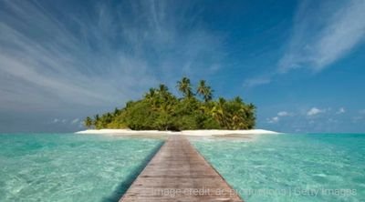 I'm new to crypto investing and only have a small stake but from small acorns comes🌴🌴🌲🏝️#ADA #CARDANO