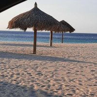 Javier (@javier22947787) 's Twitter Profile