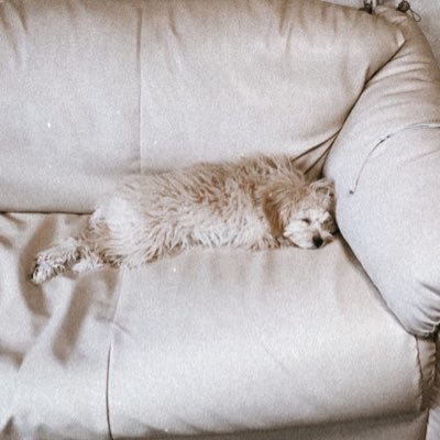 o_yo7o1's profile picture. 