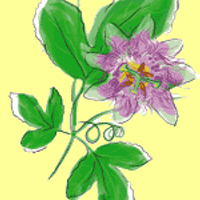 Lizette Barranco (@eyasab) 's Twitter Profile