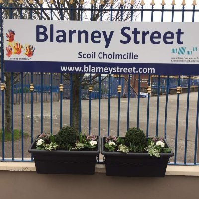 Inspiring every child to achieve more since 1849. Coeducational Primary School.
office@blarneystreet.com
https://t.co/SYTioDfUG1…