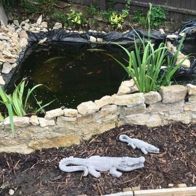 pond maintenance company situated in the heart of the peak district